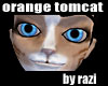 Orange Tomcat Skin