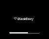 == Blackberry 9500 ==
