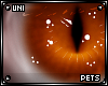 [PETS] Tigger | eyes