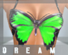 DM~PVC Butterfly Green
