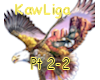 KawLiga 2-2