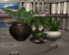 Exotic Group Plants