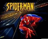 *WS* Spiderman Blanket