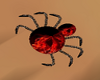 Red Spider Ring
