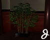 [J] Bamboo Plant