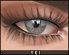 v. Zell: Soft Lashes BD