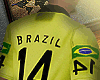 Brazil polo 