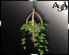 Hanging plant 3