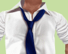 White Shirt & Blue Tie