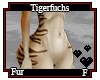 Tigerfuchs Fur F