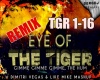 Tiger vs Gimme RMX+MD