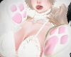 Winter Paw