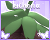 ʚɞ Cocoberry Stem