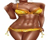 gold boh bikini