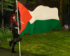 Palestine Flag