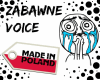 Polskie Voice - Zabawne