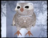 [G] Owl Snow pet