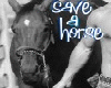 Save A Horse...