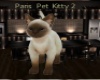 Paris Kitten Pet 2