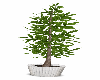 Potted Tree v5
