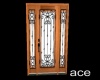 ace Wood n Glass Door
