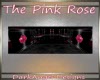 The Pink Rose Showcase