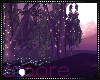 Amore THE MOON PATH!