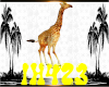 *H4*Baby Giraffe