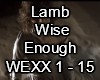 Lamb Wise Enoygh