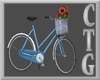 CTG BIKE WITH FLOWERS