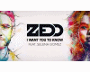 zedd i want you