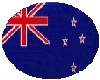 New Zealand flag button