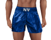 NV Blue Satin Shorts
