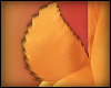 G|Pumpkin Tail 02