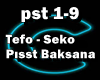 *C*Tefo -  Seko