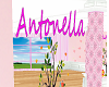 Antonella Room
