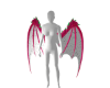 Pitaya wings