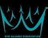 Miss Bahamas Wall Logo