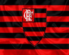 🅟 Flamengo cutout