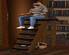 SoS Library Ladder
