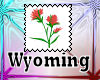 Wyoming State Flower