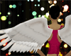 Wings angel M+F