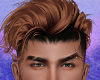 Dane Ginger