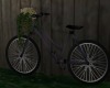 Backyard bicycle