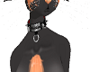 {S} Pet Collat