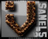 Leopard Letter V