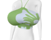 𝓚 | Tropicana TOP H