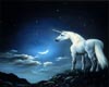 (LIR) Unicorn Backdrop