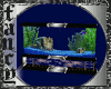 Bt's Modern Aquarium