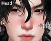THIN Korea Head